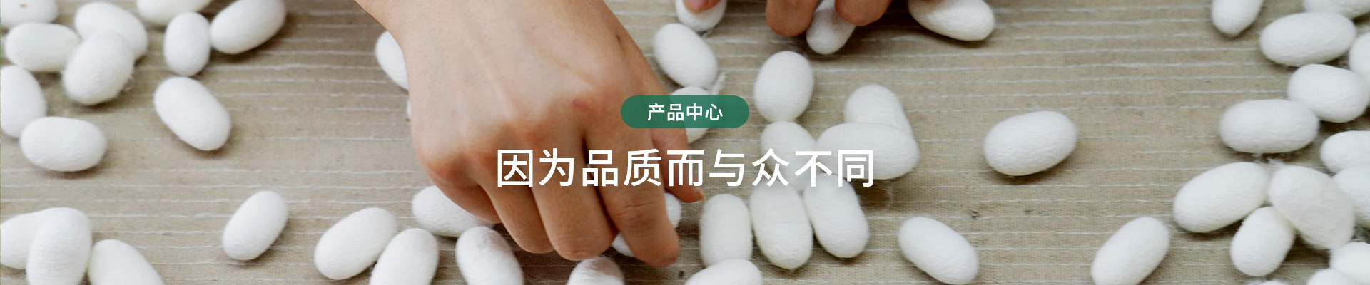 南絲路集團(tuán)桑蠶繭絲，因?yàn)槠焚|(zhì)而與眾不同