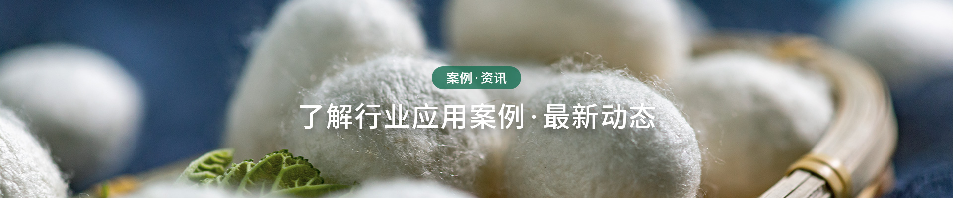 南絲路集團-了解行業(yè)應(yīng)用案例，最新動態(tài)