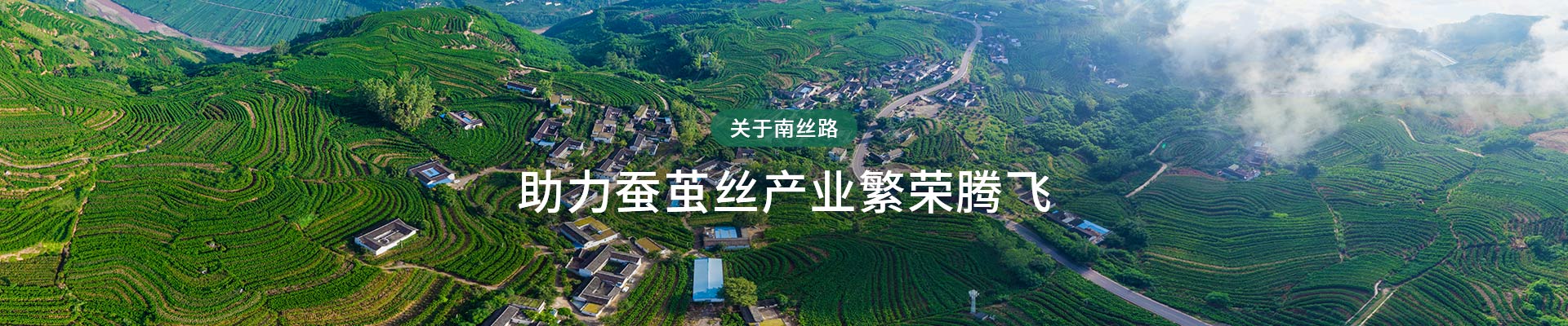 南絲路集團，助力蠶繭絲產(chǎn)業(yè)繁榮騰飛