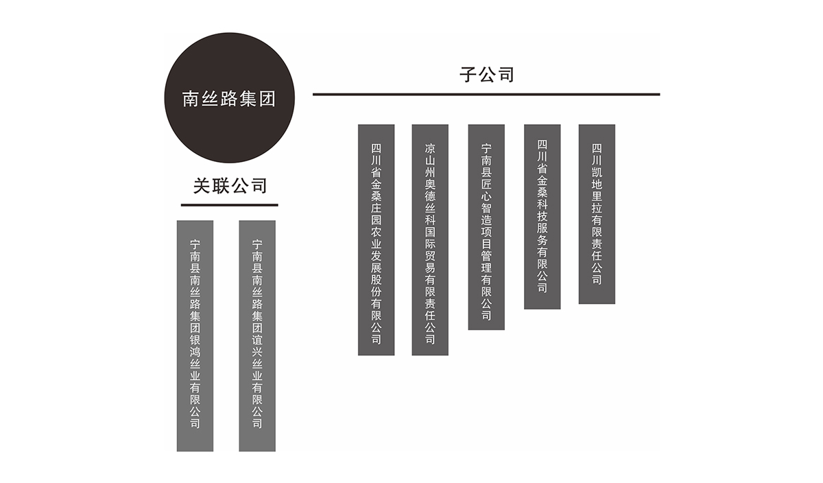 南絲路集團(tuán)組織架構(gòu)